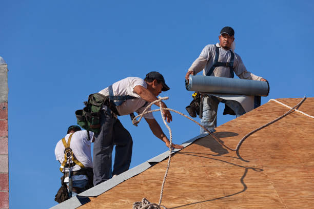 Best Storm Damage Roof Repair  in Cody, WY