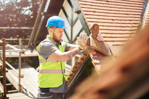 Best Roof Gutter Cleaning  in Cody, WY